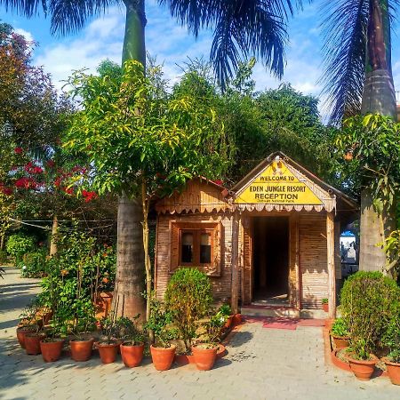 Eden Jungle Resort Sauraha Exterior photo
