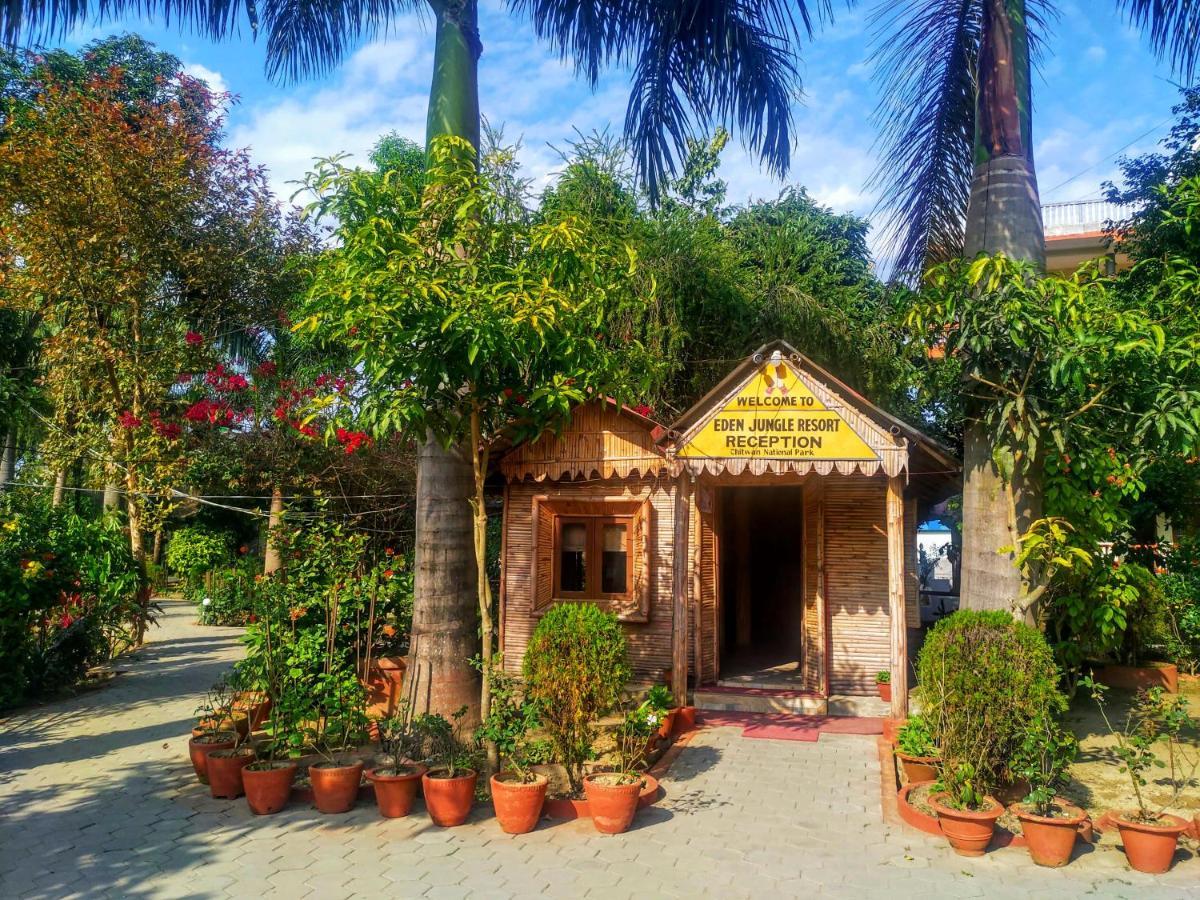 Eden Jungle Resort Sauraha Exterior photo