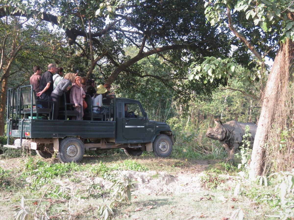 Eden Jungle Resort Sauraha Exterior photo