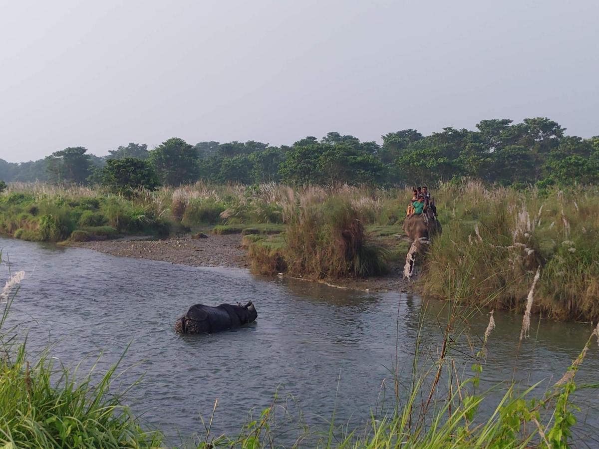Eden Jungle Resort Sauraha Exterior photo